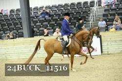 24BUCK_11516 proof