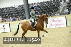 24BUCK_11520 proof