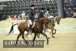 24BUCK_11522 proof