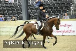 24BUCK_11524 proof