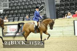 24BUCK_11525 proof