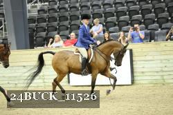 24BUCK_11526 proof