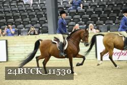 24BUCK_11530 proof