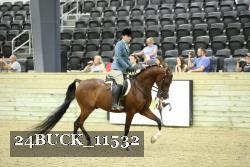 24BUCK_11532 proof