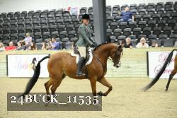 24BUCK_11535 proof