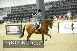24BUCK_11537 proof