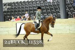 24BUCK_11538 proof