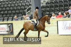 24BUCK_11540 proof