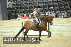 24BUCK_11541 proof