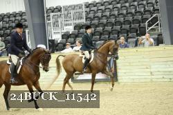 24BUCK_11542 proof
