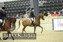 24BUCK_11543 proof