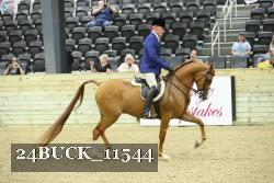 24BUCK_11544 proof