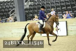 24BUCK_11546 proof