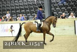 24BUCK_11547 proof