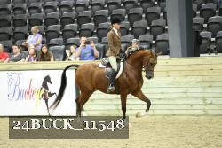 24BUCK_11548 proof