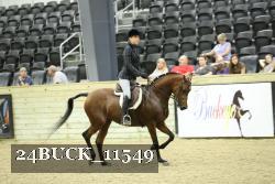 24BUCK_11549 proof