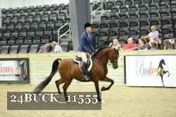 24BUCK_11555 proof