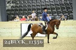 24BUCK_11556 proof
