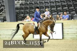 24BUCK_11557 proof