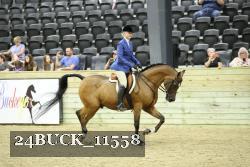 24BUCK_11558 proof