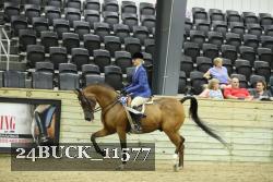 24BUCK_11577 proof