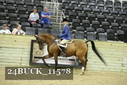 24BUCK_11578 proof