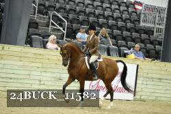 24BUCK_11582 proof