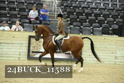 24BUCK_11588 proof