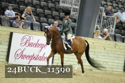 24BUCK_11590 proof