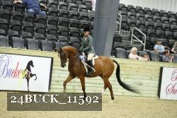 24BUCK_11592 proof