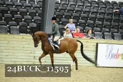 24BUCK_11595 proof