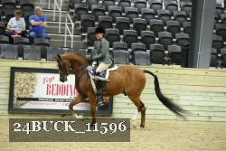 24BUCK_11596 proof