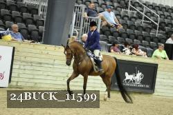24BUCK_11599 proof