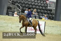 24BUCK_11600 proof