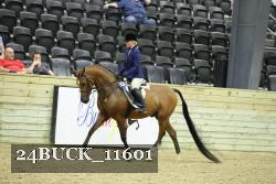 24BUCK_11601 proof