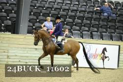 24BUCK_11602 proof
