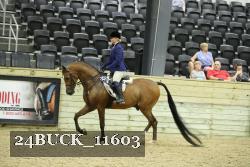 24BUCK_11603 proof