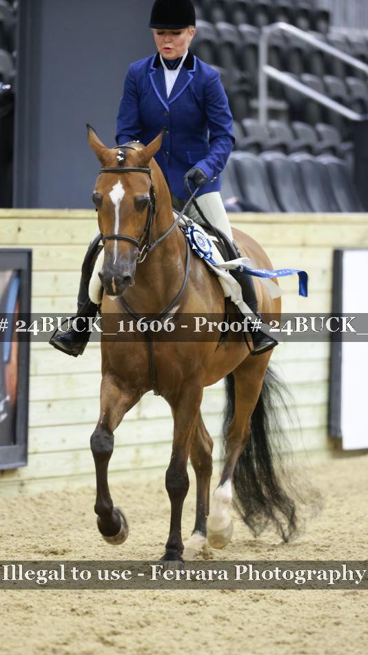 Proof 24BUCK_11606