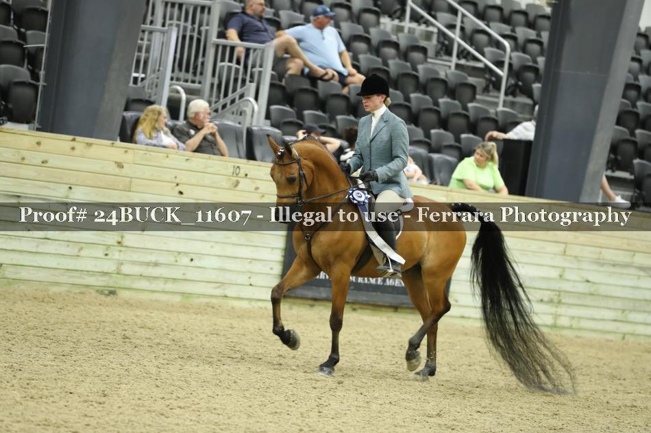 Proof 24BUCK_11607