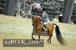 24BUCK_11607 proof