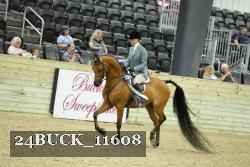 24BUCK_11608 proof