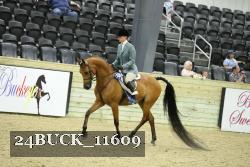 24BUCK_11609 proof