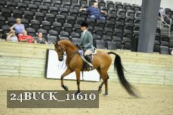 24BUCK_11610 proof