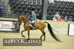 24BUCK_11613 proof