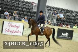 24BUCK_11615 proof