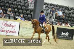 24BUCK_11621 proof