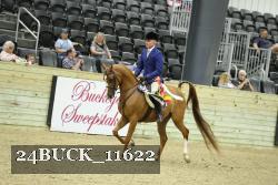 24BUCK_11622 proof