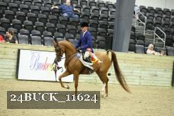 24BUCK_11624 proof