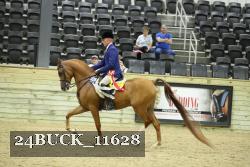 24BUCK_11628 proof