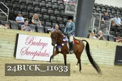 24BUCK_11633 proof